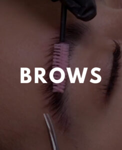 graphic with eyebrows being brushed